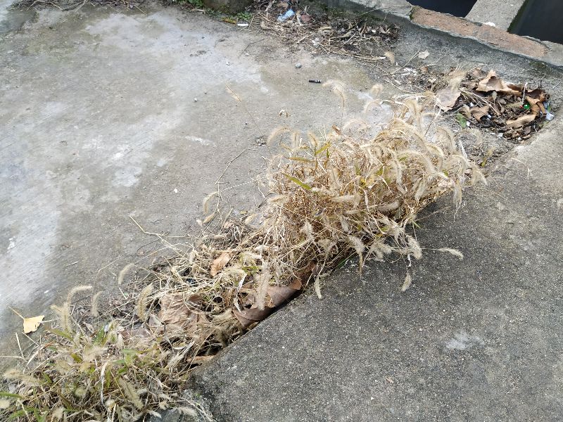 杭州四眼井怎么去,杭州四眼井村