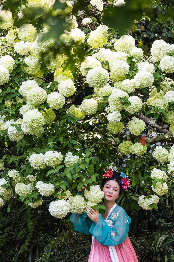 惠山古镇天下第二泉竹筒茶,惠山古镇天下第二泉