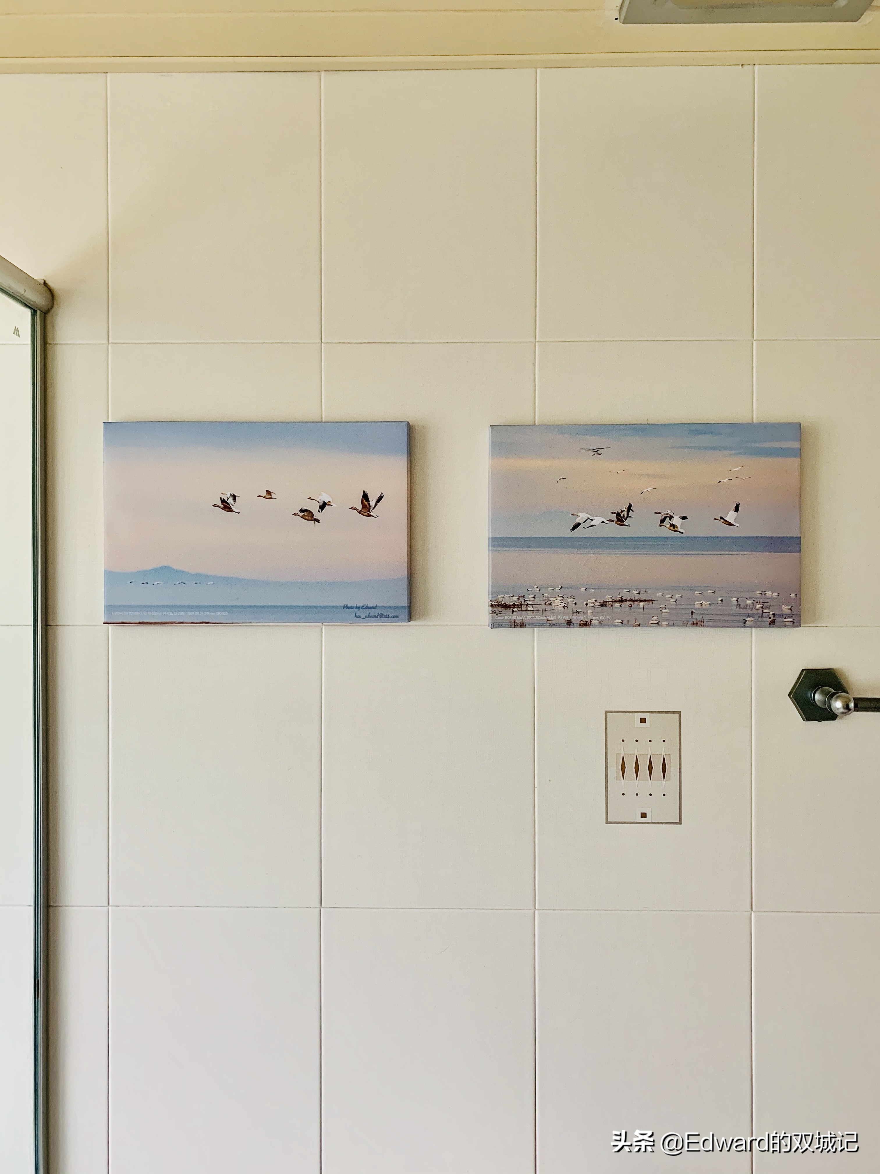 自由摄影师摆摊需要些什么,摄影摆摊怎么入行