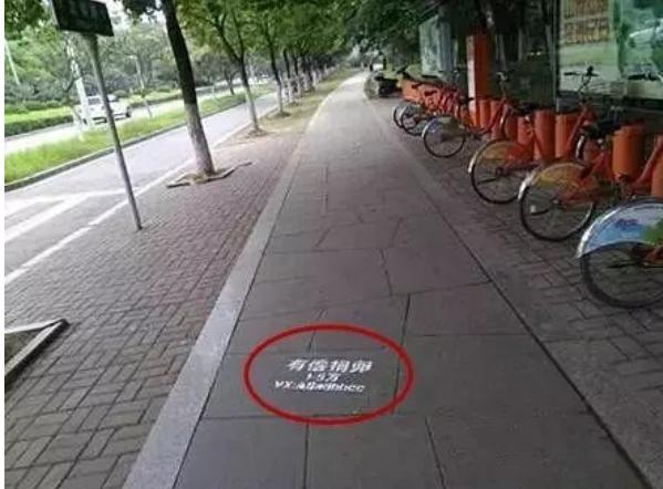 以爱之名诈骗女子,以爱之名征婚骗局