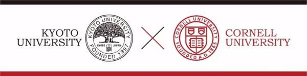 搴峰灏斿ぇ瀛︾鐞嗗纭曞＋,搴峰灏斿ぇ瀛︾鐞嗗纭曞＋璇剧▼