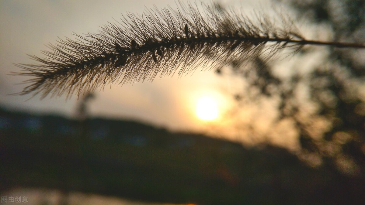 小学三年级考试不及格还有救吗,小学考试不及格是智力问题吗