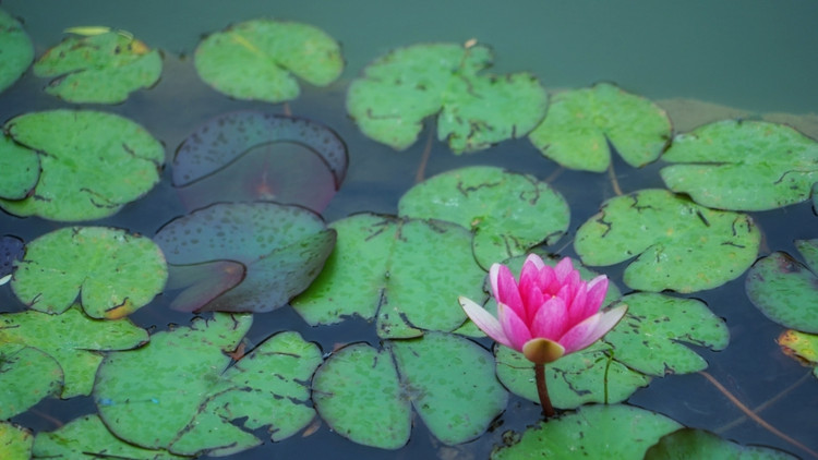 茅山宝盛园周边游玩,茅山宝盛园所有游乐设施