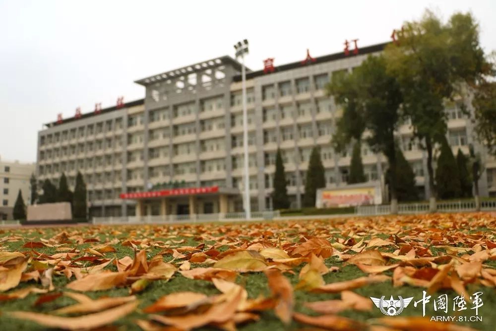 军校改革方案确定,军校机构改革最新方案