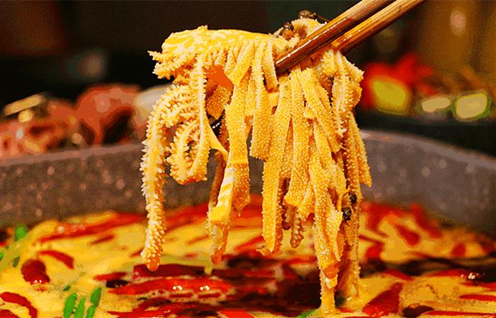 黄喉毛肚属于内脏吗,黄喉不是喉毛肚不是肚你知道么