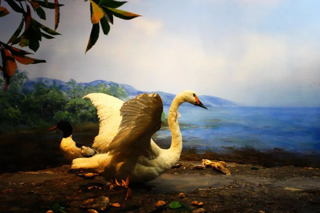 旅行种草,垦丁必打卡景点