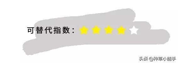 lamer哪款好用,lamer好用吗