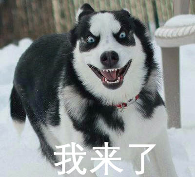 兰博基尼哪款车最保值,兰博基尼一万多