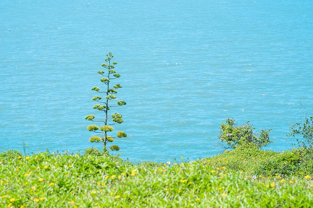 福建大莆田绝美海岛盘点,莆田海边景点推荐一下一日游