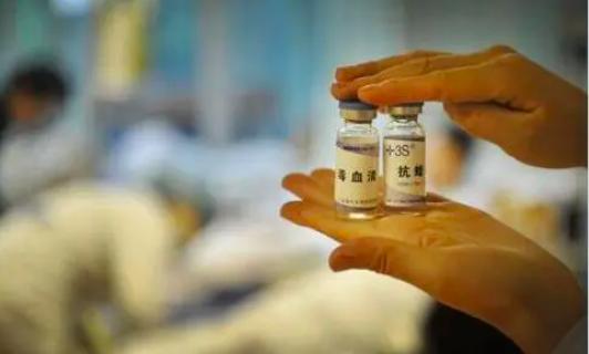 被非洲树蛇咬到会怎么样？他作死尝试，全身寒冷，体内大出血而亡