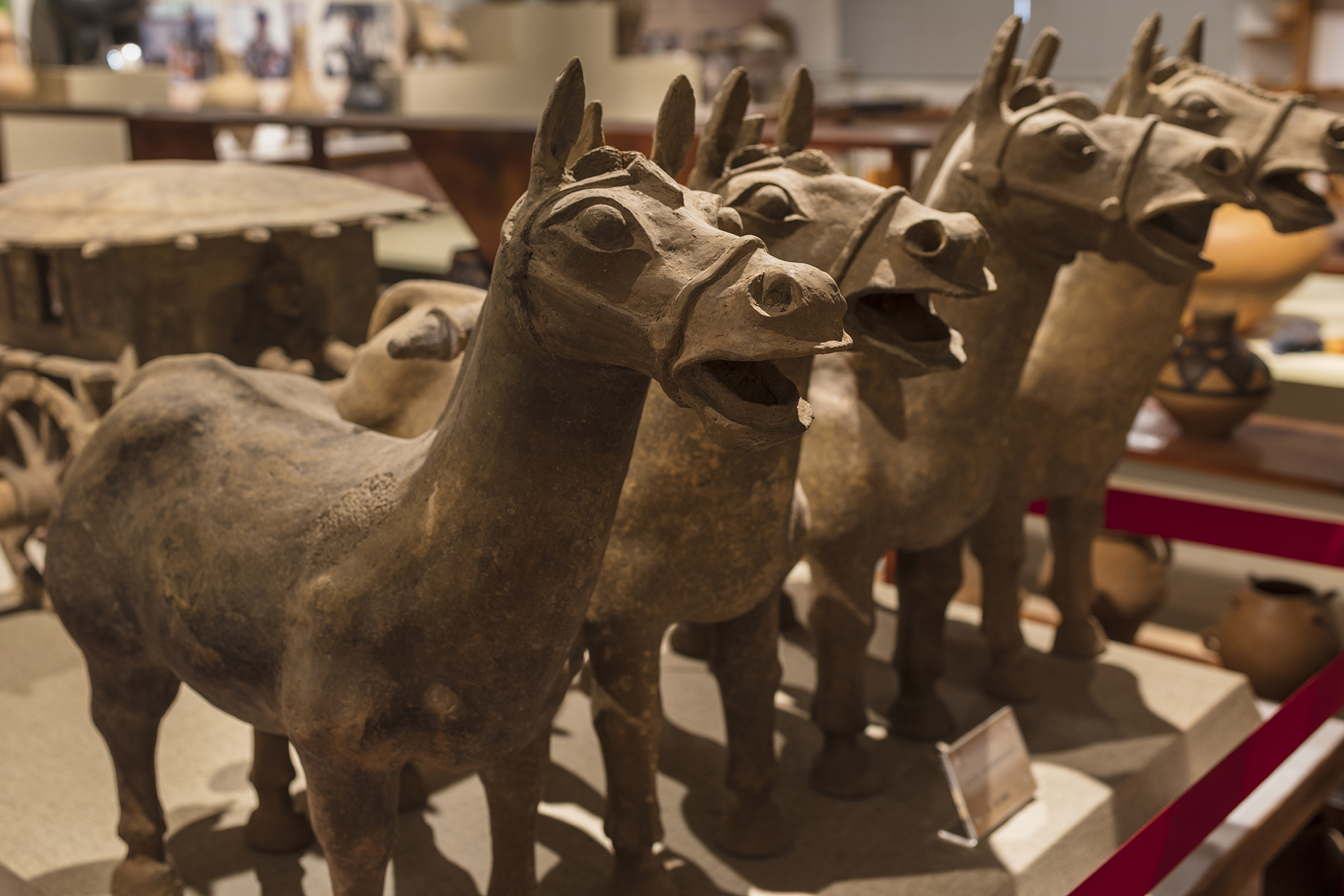 临夏的茶马互市在哪儿,临夏有多少年历史