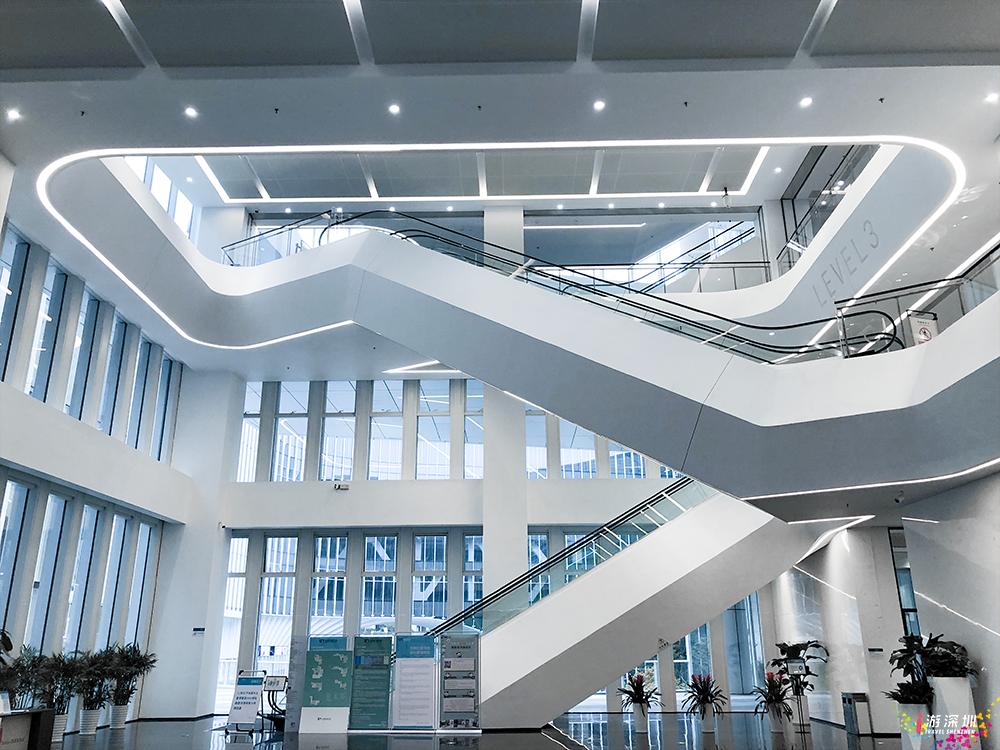 又是看完想去系列!深圳这个高颜值新地标,地铁直达还免费