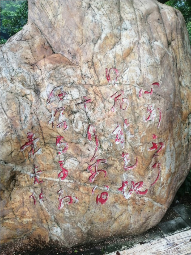 东莞旗峰公园掠影,东莞旗峰公园大体俯视图片