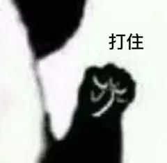 皮卡丘所有进化过程,皮卡丘是什么生物