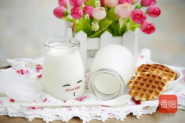 教你自制酸奶，最简单的方式，浓稠又好喝，家人抢着喝