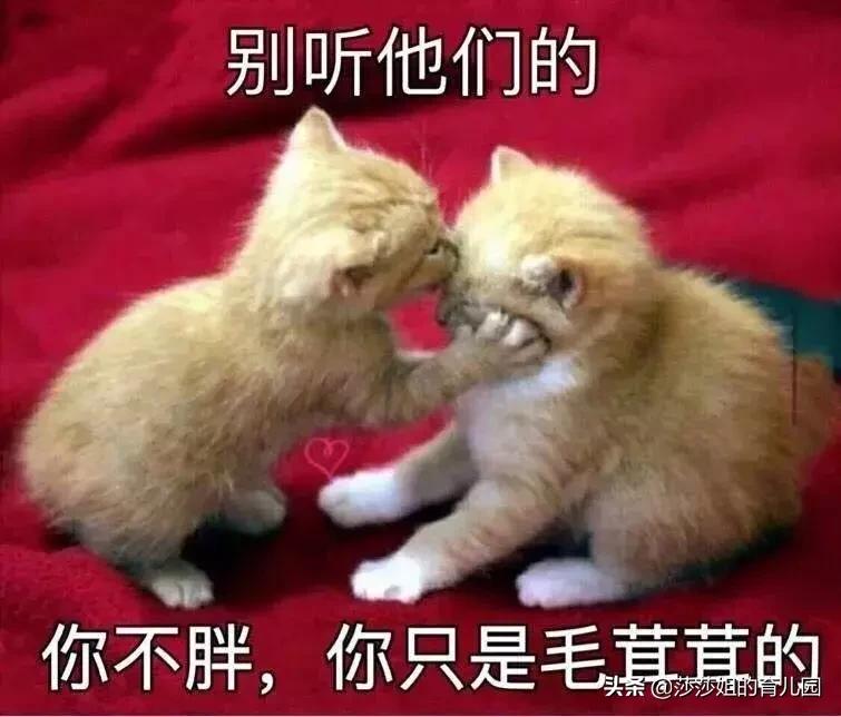 小孩胃强脾弱积食便秘怎么调理,小儿胃强脾弱越来越瘦怎么调理