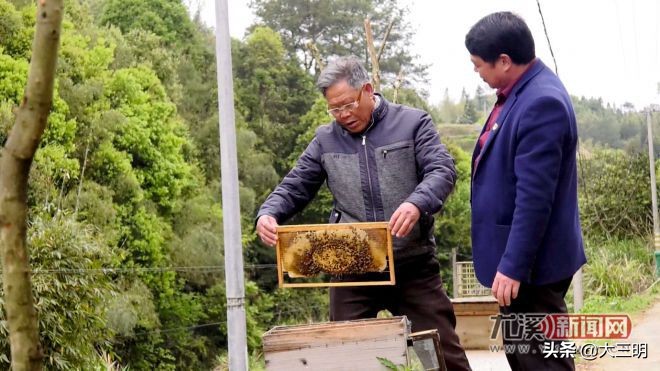 小康来敲门生态养羊,小康来敲门脱贫