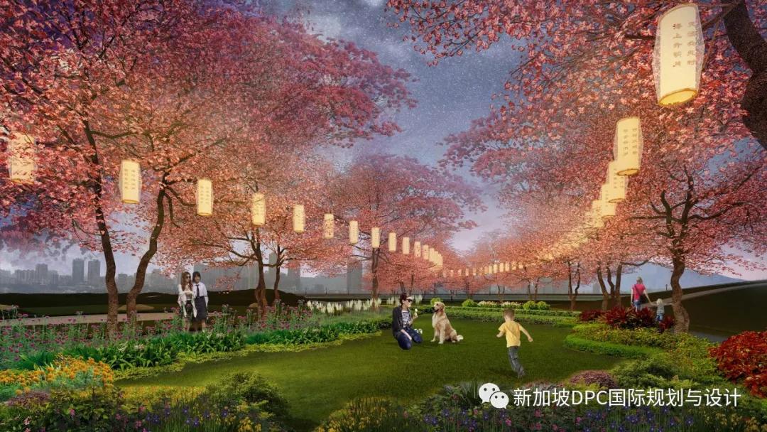 被盛赞“很精彩!很惊艳!很欣喜!”南充最美公园华丽来袭|DPC