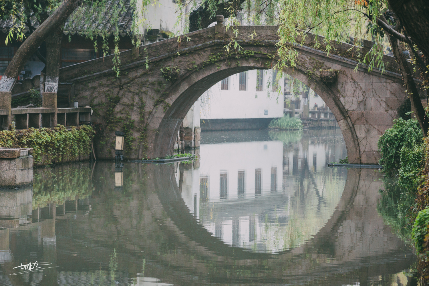 梦里水乡乌镇周庄风景视频,周庄版梦里水乡