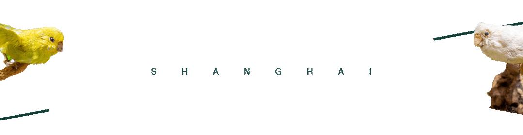 时髦精都在逛的hAomArket好市,一站式承包你的冬日小众好物