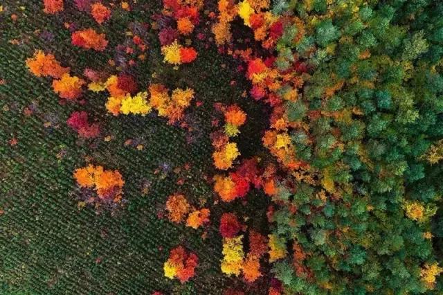 大家今年拍过最好看的照片,近期拍的最好看的照片