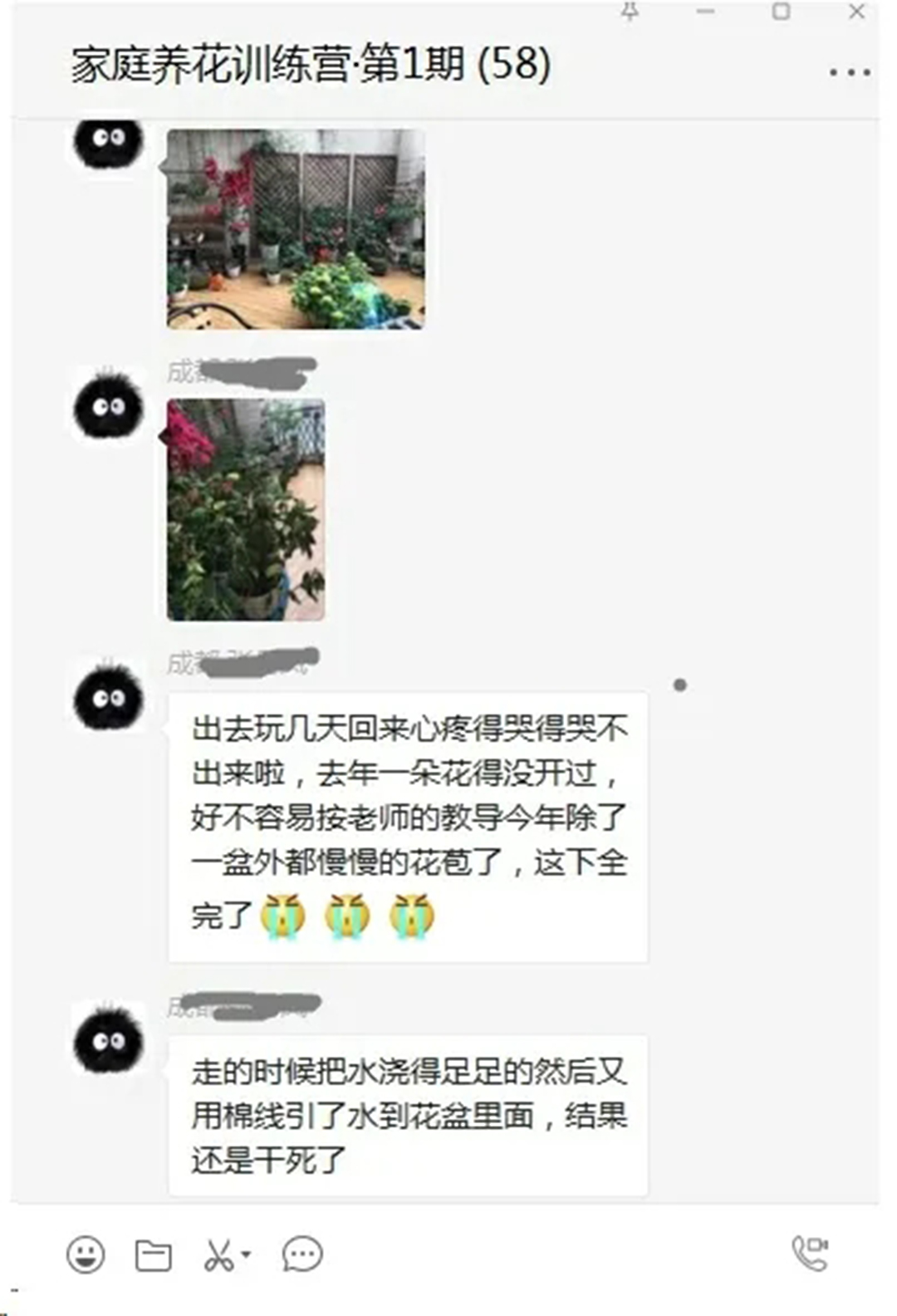 绣球盆土还湿为什么花却蔫了,绣球闷根护心土少了还能活吗