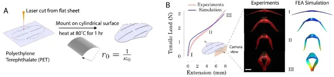 中国科学家研究纳米机器人,中国科学家团队发明的机器人