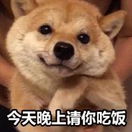 愚人节为什么成了表白日,愚人节的来历以及愚人节的活动