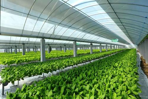 未来5年农业最赚钱行业,农业未来10年赚钱吗