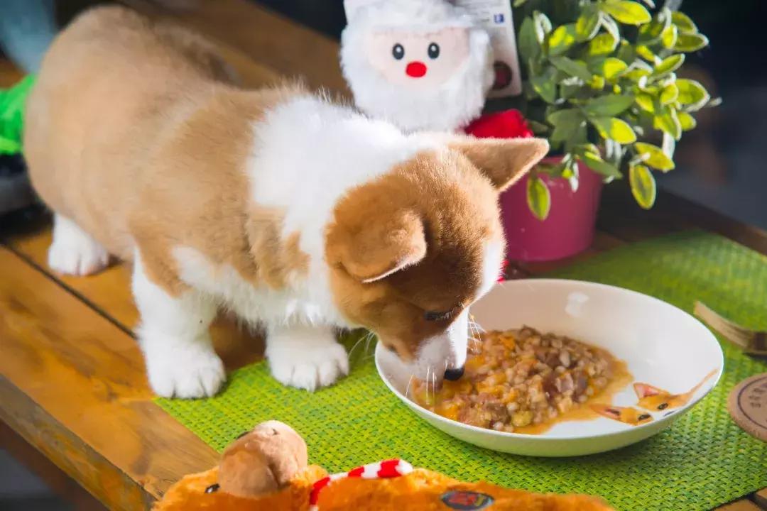 感恩不用花大钱！还有免单机会！天津这条街要火了……