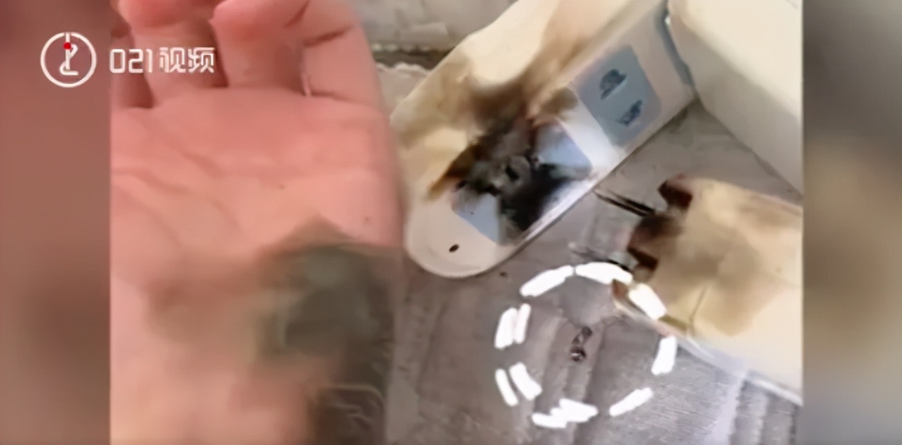 “砰”一声！手掌焦黑一片！只因*插插**头时戴了这个。。。