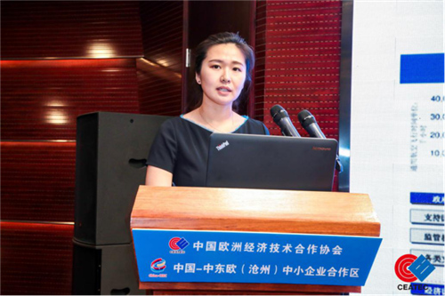 中国中东欧沧州合作示范区,沧州中东欧博览会2023