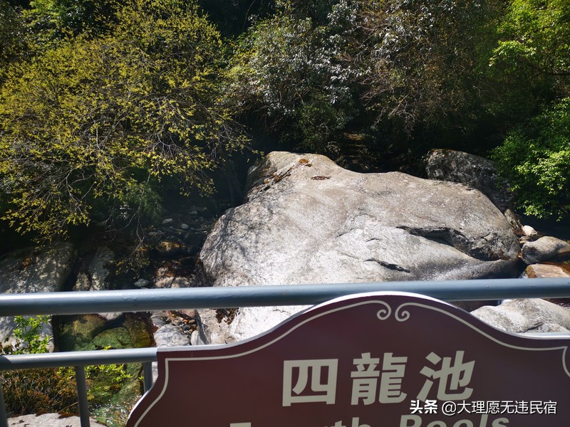 大理苍山一日免费游详细攻略,大理苍山旅游攻略自由行