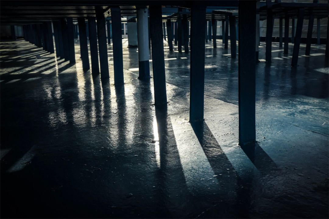 值得新手入门的徕卡相机,目前最值得入手的徕卡相机