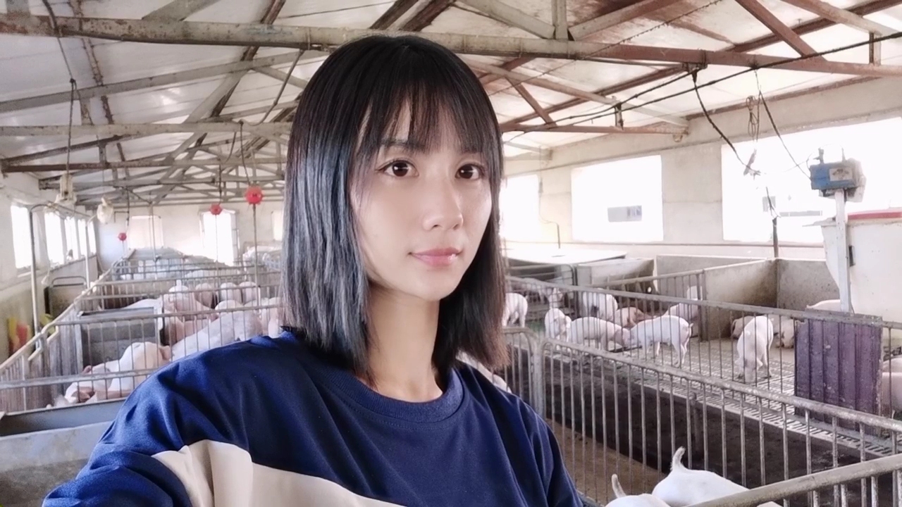 养猪饲料知识,东北养猪饲料原料丰富吗