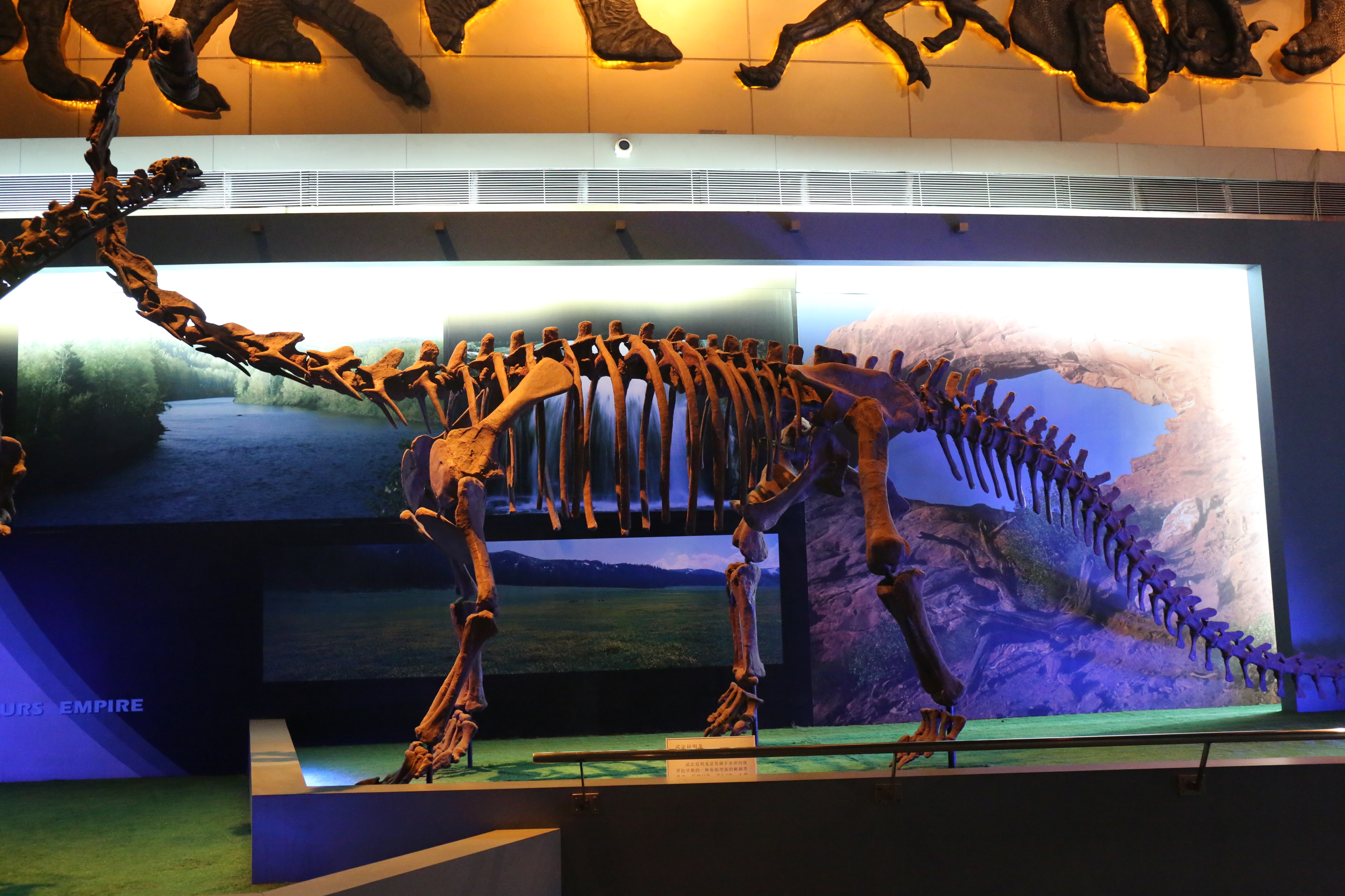 常州恐龙园亲子酒店,常州最豪华的酒店