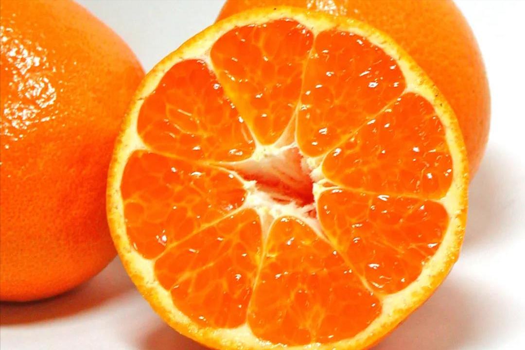 丑橘和耙耙柑有什么区别,耙耙柑和丑橘怎么区别