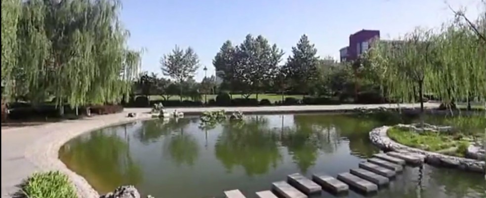 河北大学双一流最新信息,双一流第二批河北大学