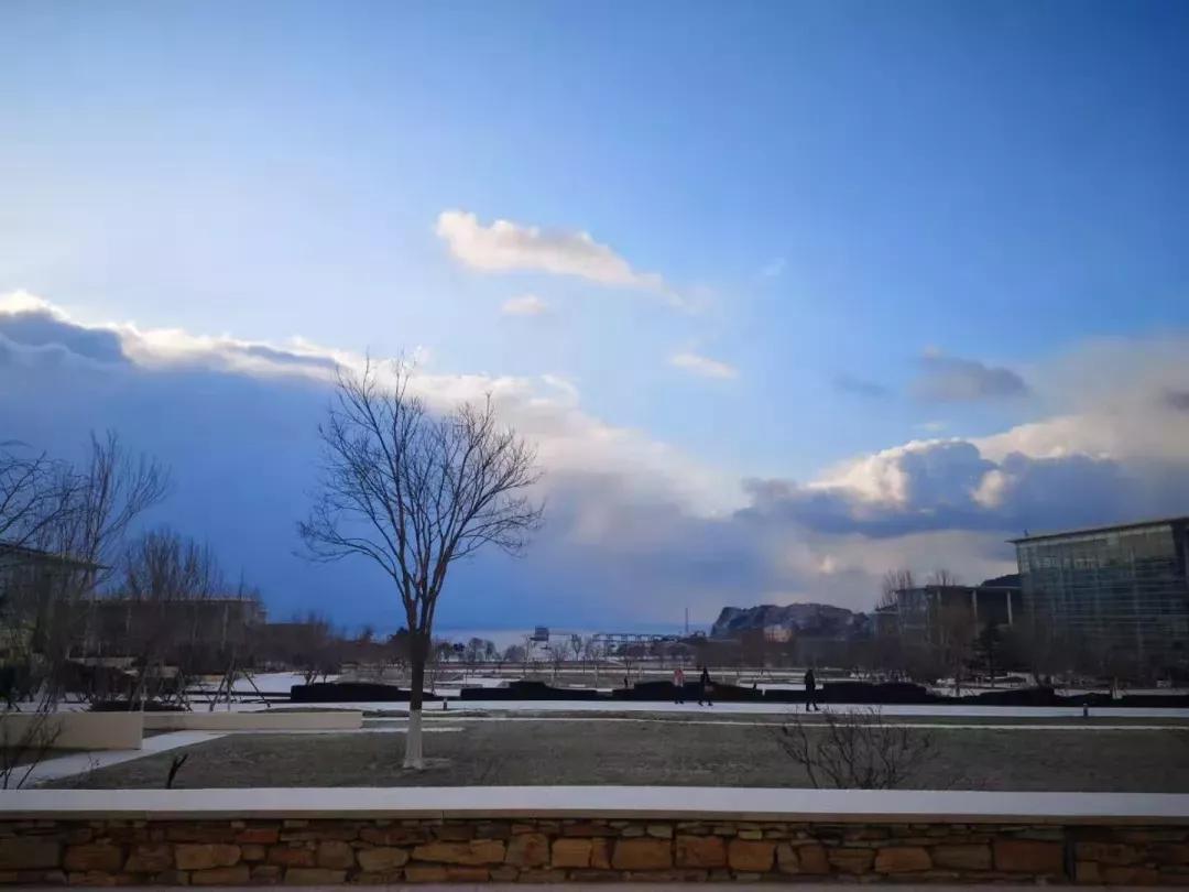 辽宁省高校（三十一）大连医科大学