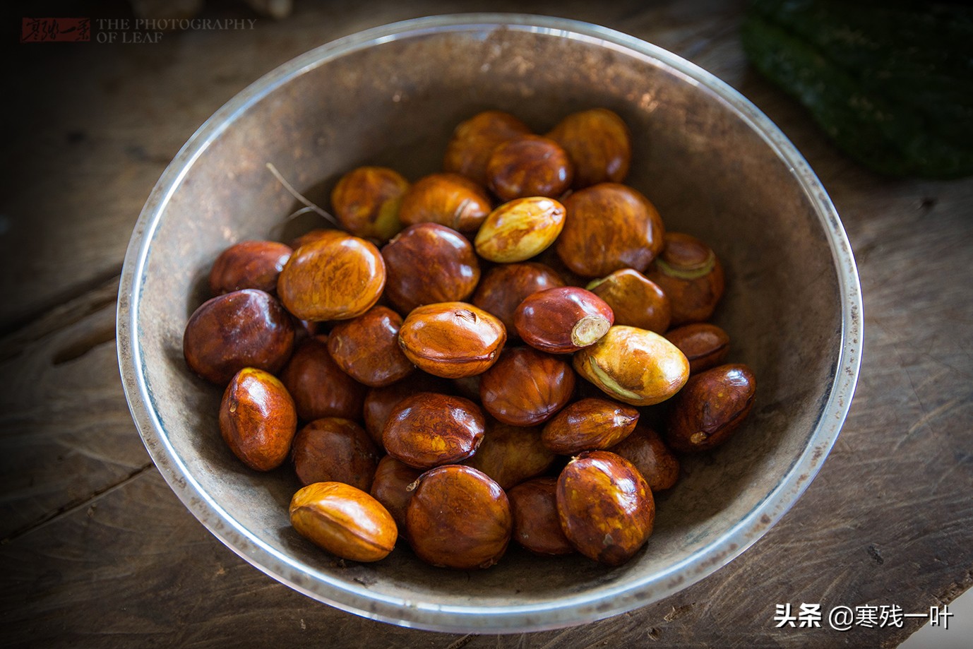 印尼美娜多土特产,印尼美娜多动物菜市场