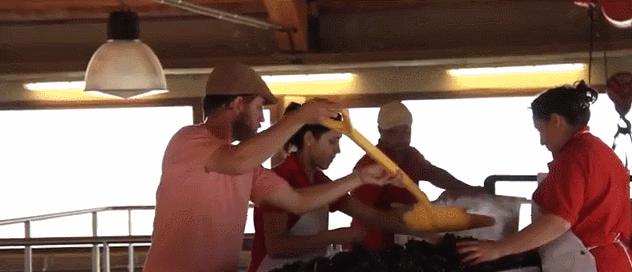 一瓶真正的自然酒的诞生丨Zorzal酒庄专访