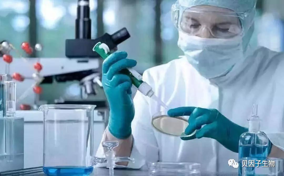 干细胞研究对肝硬化的治疗,干细胞移植在肝病方面的最新进展