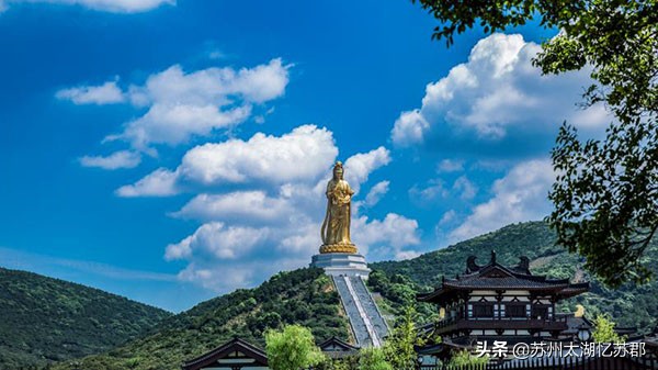 鲜嫩多汁的奉贤黄桃,苏州黄桃现在熟了吗