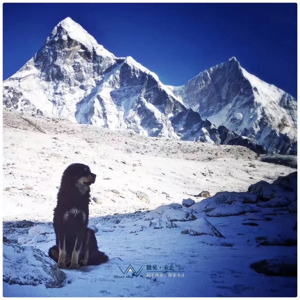 高山低谷的感悟,高山之巅的感悟
