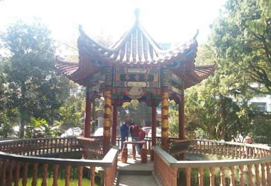 泰和三中和四中哪个最好,泰和三中环境怎么样