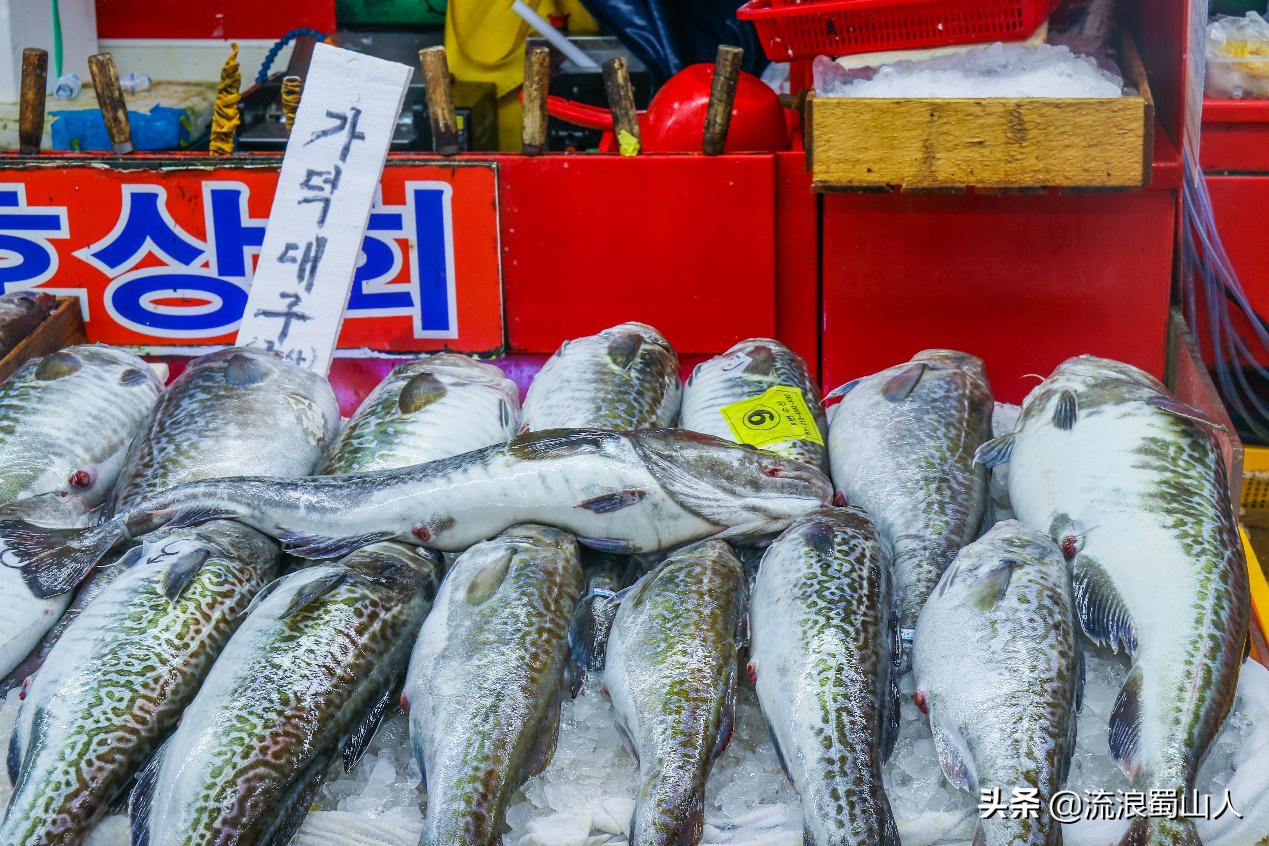 韩国初见,初见韩国版
