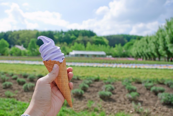 北海道滑雪游玩攻略 (北海道冬天滑雪攻略)