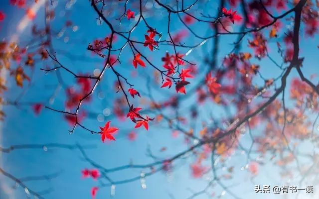 无边的失落与孤独海子诗歌,海子的诗孤独不可言说