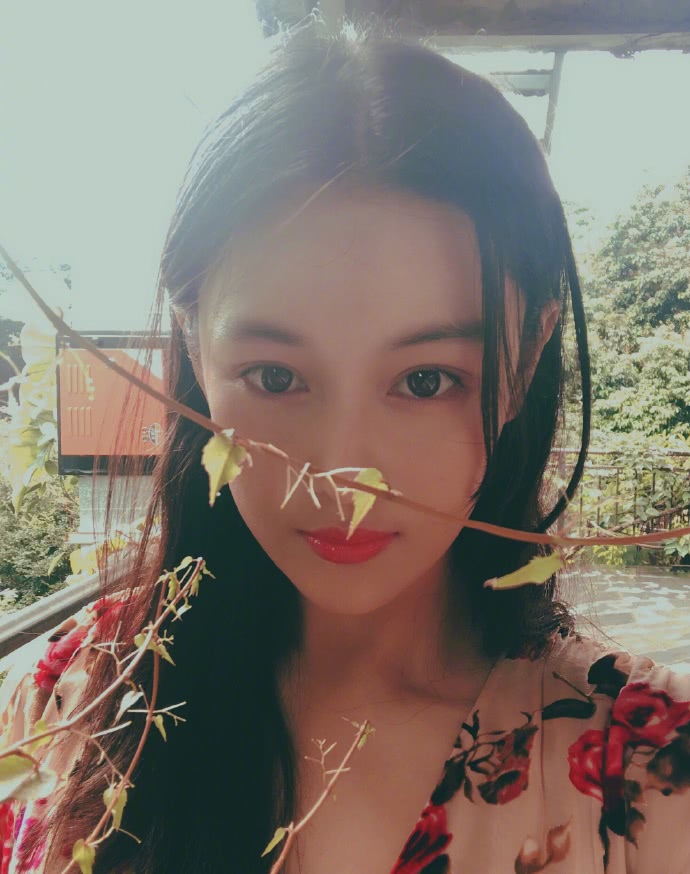 沈梦辰和张馨予的代购是真的吗,沈梦辰张馨予最新消息