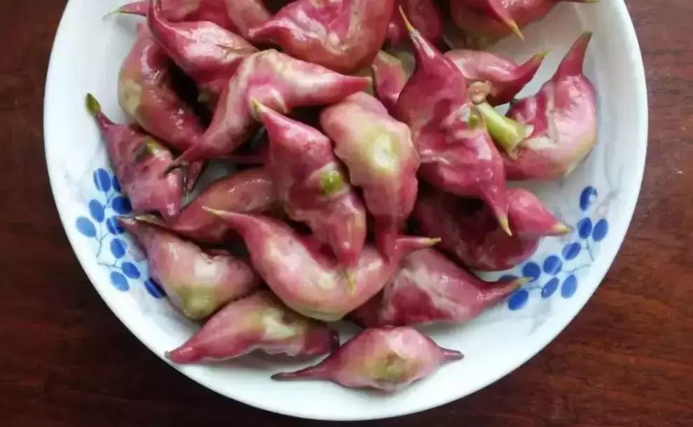 不输阳澄湖的大闸蟹鲜到上头,金秋时节的大闸蟹太美味了